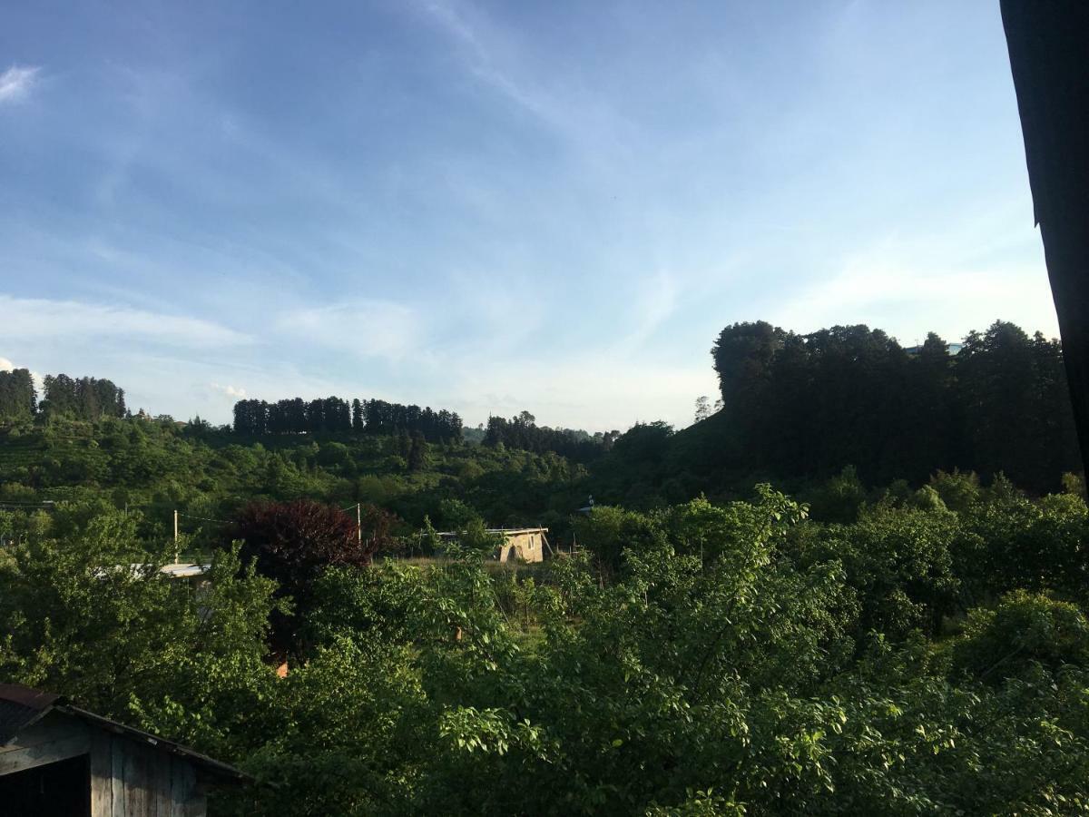 Homestay In Batumi Дом В Чакви エクステリア 写真